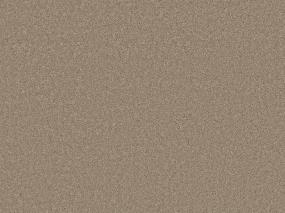 Brass Rings II - Saddle Swatch