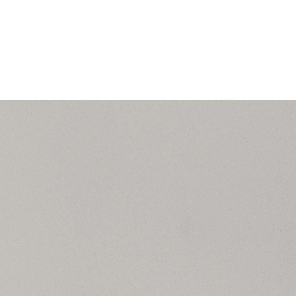Light Gray Polished Zoomed Swatch