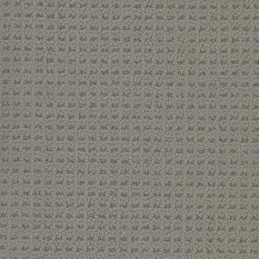 Steel Curtain Zoomed Swatch