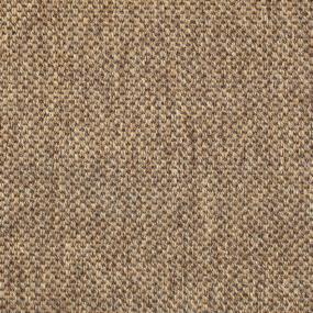 Tangiers - Marzipan Swatch