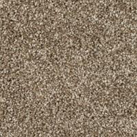 Lustre Plus - Castlepoint Swatch