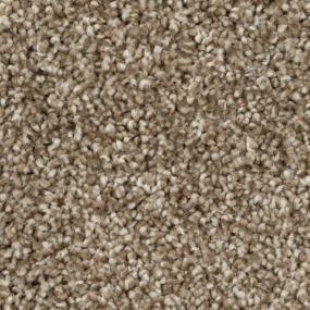 Johnson Path Zoomed Swatch