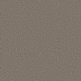 Generation Gap III - Rich Soil Swatch