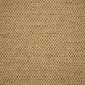 Byron Bay - Honey Swatch