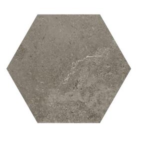 Scripter Hexagon Stepwise 8X9 Mt - Rebel Matte Swatch
