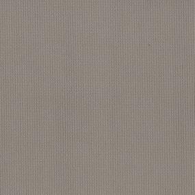 Sure Enough - Knockout Swatch