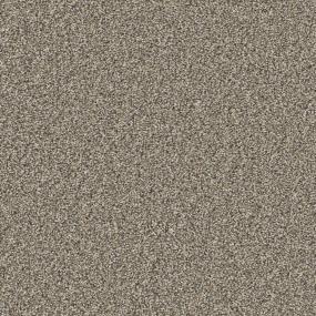 Suede Zoomed Swatch