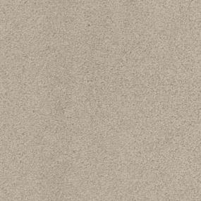 Trap Door Zoomed Swatch