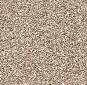 Stunning - Ginger Swatch
