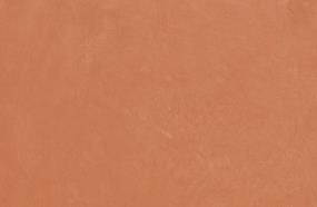 Coral Swatch Thumbnail