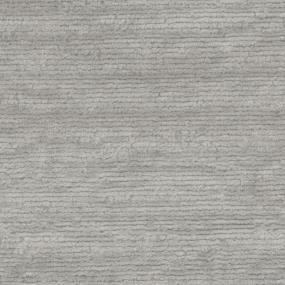Steely Zoomed Swatch