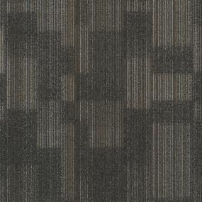 Erasmus TL - Established Swatch