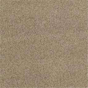 Soft Side - Trumpet Swatch