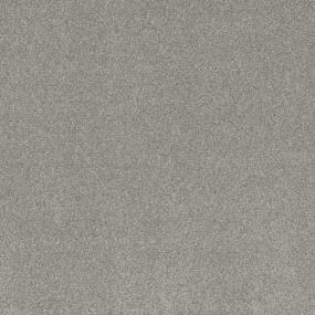 Dream Forest I - Treasured Swatch