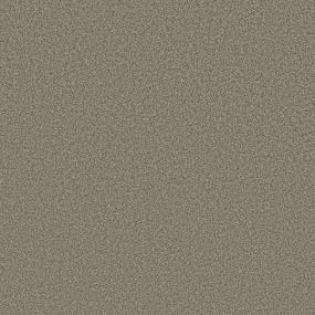 Avalon Bay - Chic Taupe Swatch