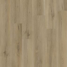 Elevate - Edgewood Swatch