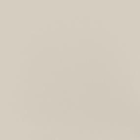 Beige Polished Swatch