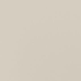 Beige Polished Zoomed Swatch