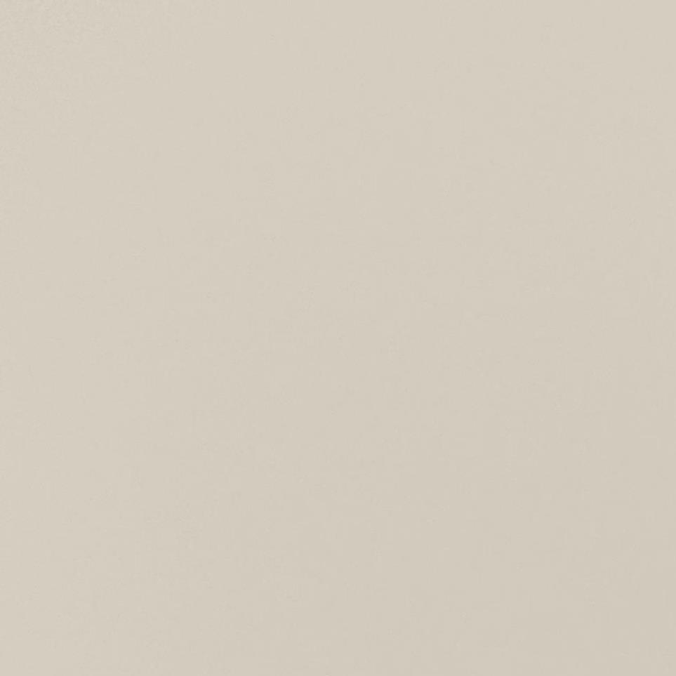 Beige Polished Zoomed Swatch