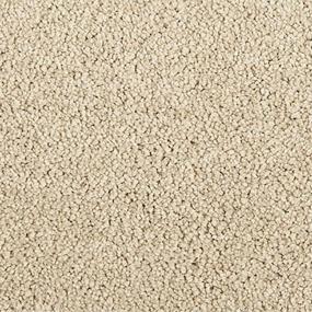 Whisper Willow - Warm Sunset Swatch