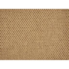 Burnt Umber Swatch