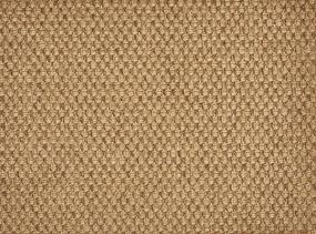 Madagascar Remix - Burnt Umber Swatch