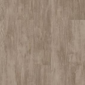Judgement 5.0 - Tawny Bark Swatch