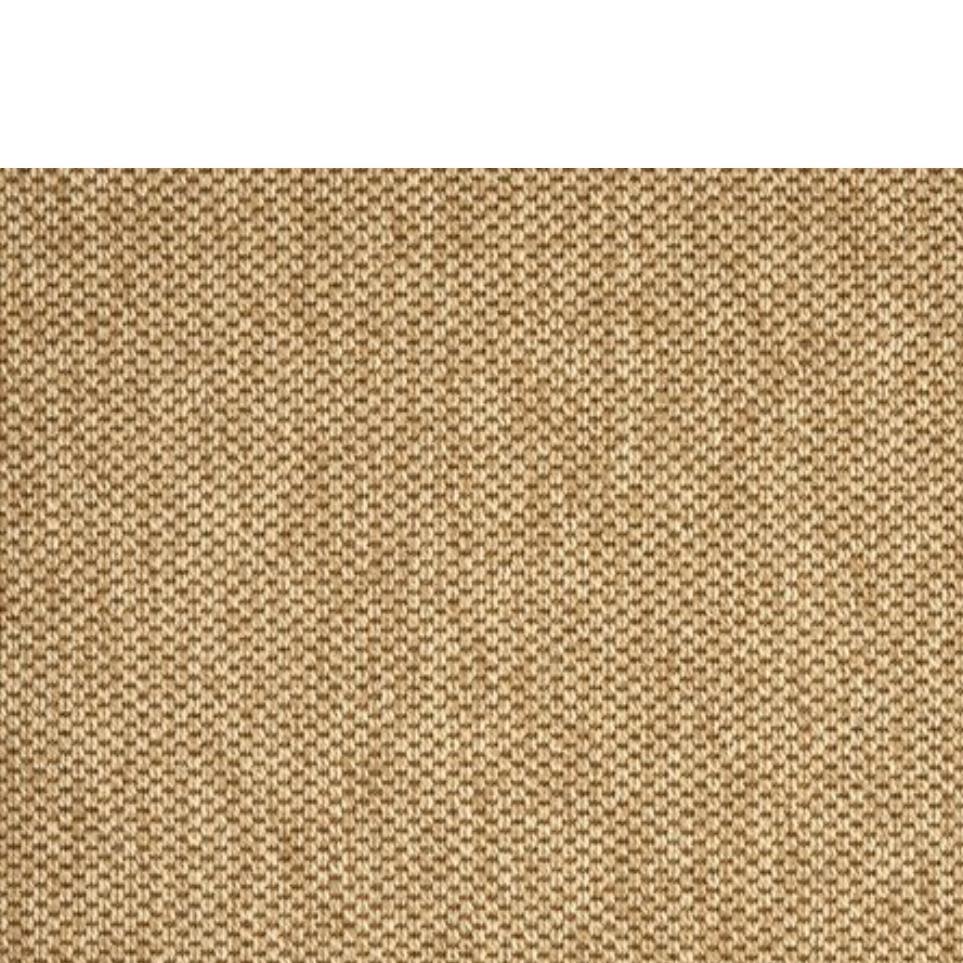 Balsa Zoomed Swatch