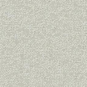 Rockport Zoomed Swatch