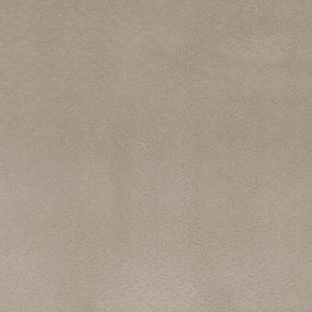 Breezy Palms - Beach Cottage Swatch