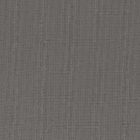 On View - Forum Grey Swatch