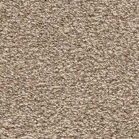 Mission Ridge - Pristine Swatch