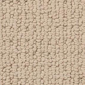 Avalon Estate - Catalina Shore Swatch