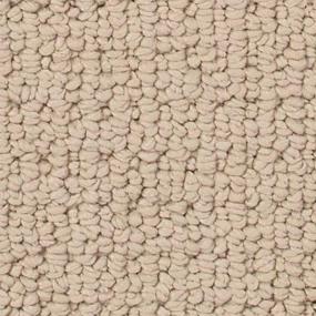 Catalina Shore Zoomed Swatch