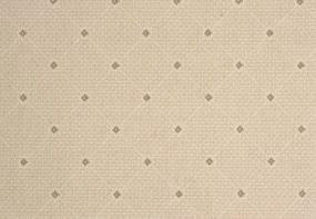 Andromeda - Shell Swatch