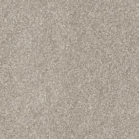 Dry Twig Zoomed Swatch
