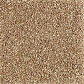 Natural Refinement I - Glazed Ginger Swatch