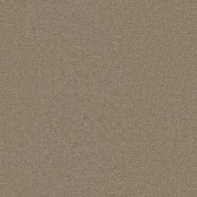 Tracker - Camel Swatch