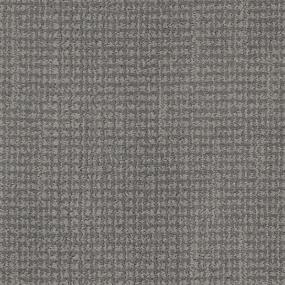 Tabby - Sylvester Swatch