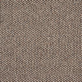 Kailash - Driftwood Swatch