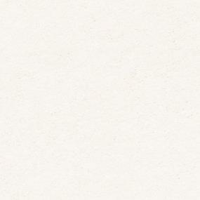 Whitewash Zoomed Swatch