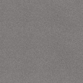 Dolphin Sighting Swatch Thumbnail