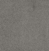 Platinum Swatch Thumbnail