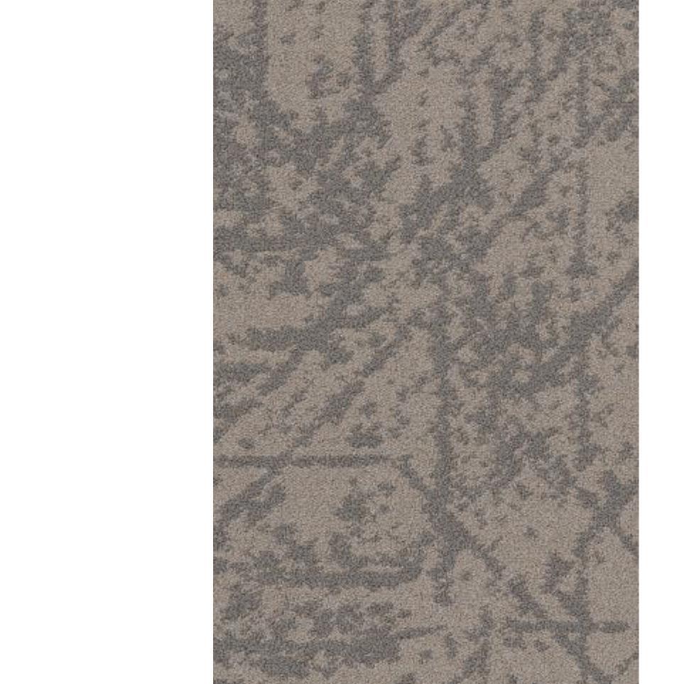Dolphin Zoomed Swatch