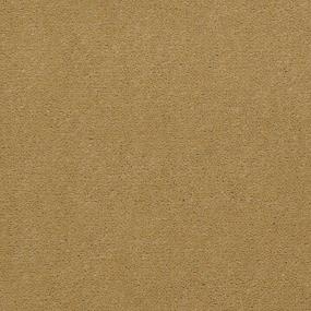 Muted Bronze Zoomed Swatch