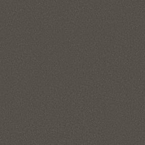 Barn Beam Swatch Thumbnail