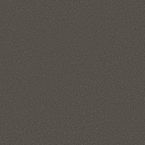 Night Owl Swatch Thumbnail