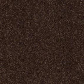 Coffee Bean Swatch Thumbnail