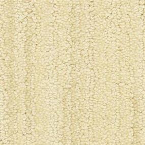 Camel             B Zoomed Swatch