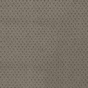 Master Plan Zoomed Swatch